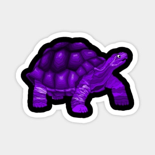 A Purple Turtle Magnet