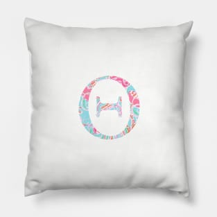 Theta Splash Greek Letter Pillow