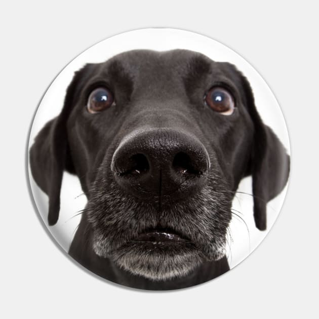 Funny Cute Dog Face Gift Pin by William Edward Husband