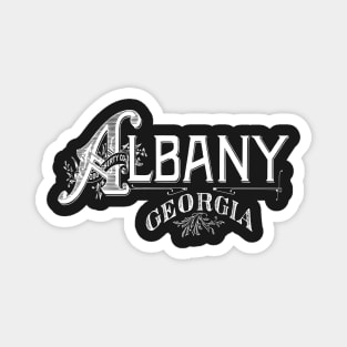 Vintage Albany, GA Magnet