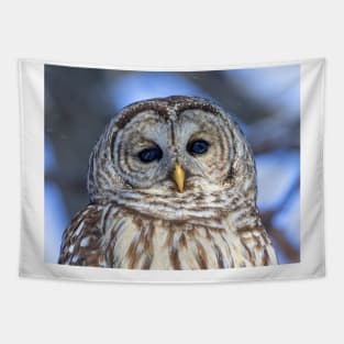 Barred Owl Tapestry