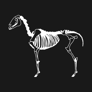 Riding skeleton silhouette horse gift T-Shirt