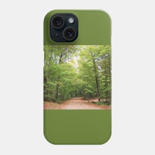 Passing Through - Algonquin Provincial Park Phone Case