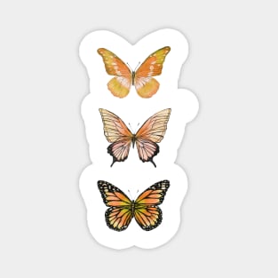 Beautiful Butterflies C Magnet