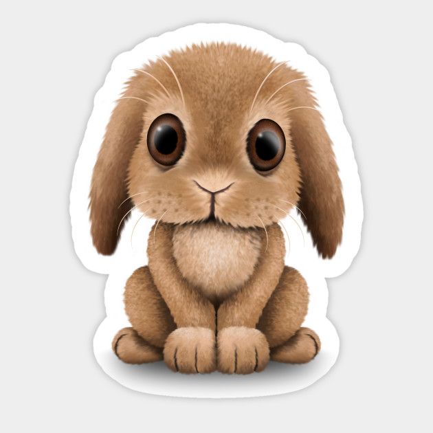 Cute Brown Baby Bunny Rabbit
