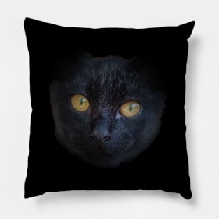 black cat Pillow