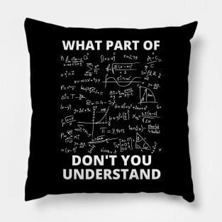 What Part Of Don't You Understand Pillow