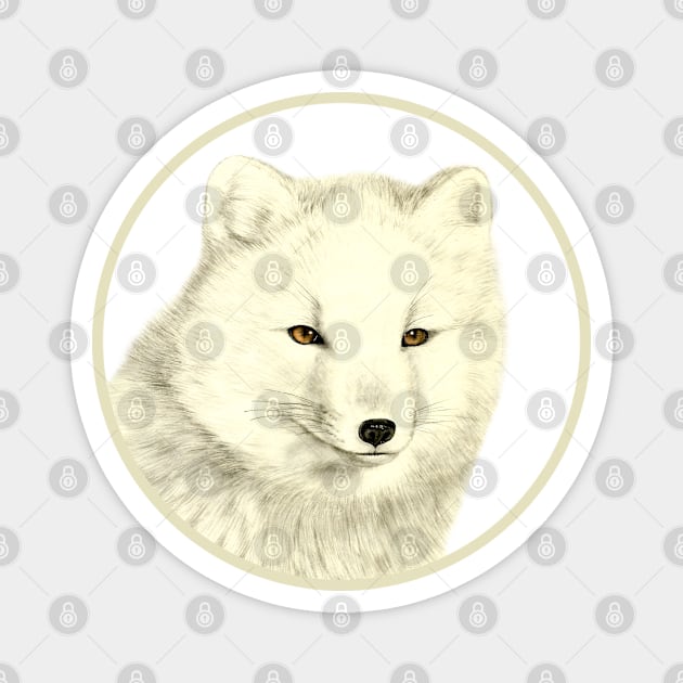 Arctic Fox Magnet by Lara Plume