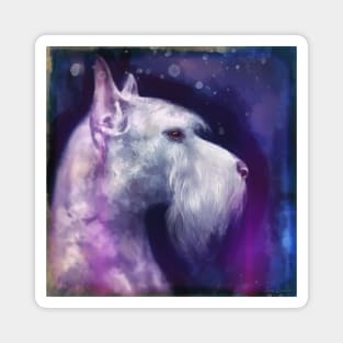 An Expressive Painting of a White Schnauzer on Purple Blue Shades Magnet