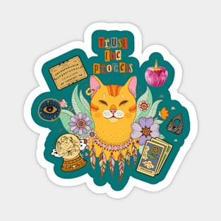 Groovy cat Magnet