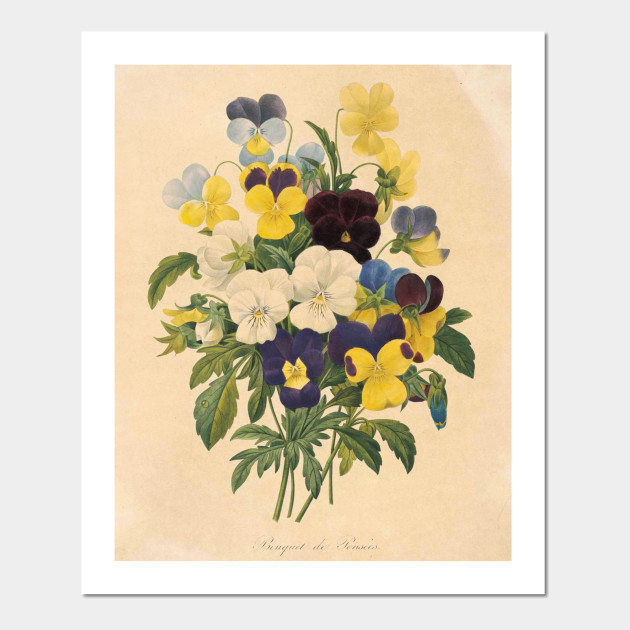 Vintage Flower Color Pencil Hand Drawing