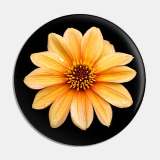 Single Orange Flowering Dahlia - Large Flower Pin