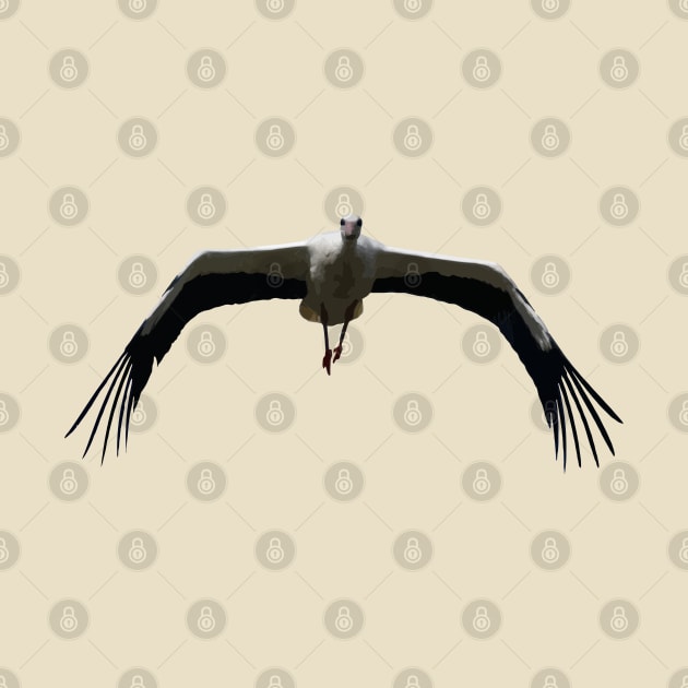 White Stork (Ciconia ciconia) Bird Wings Flapping Vector by taiche