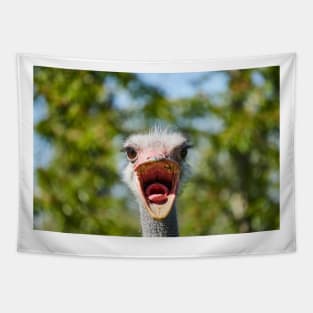 Ostrich Tapestry