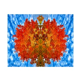 A Kaleidoscope by Mother Nature T-Shirt