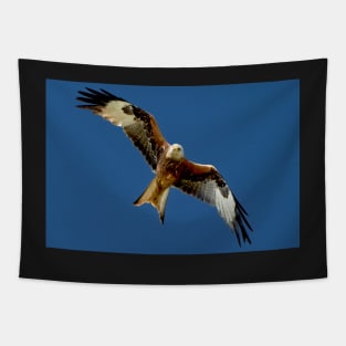 Red Kite in Flight Tapestry