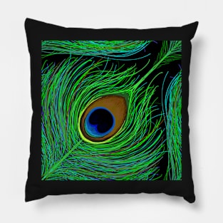 Peacock Print Pillow