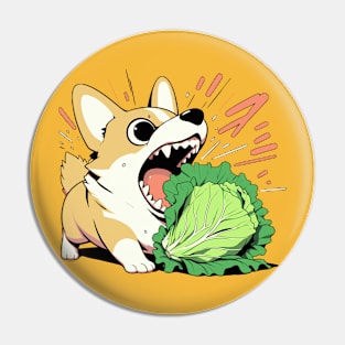 Corgi before attacking lettuce Pin