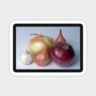 A Family Allium Magnet