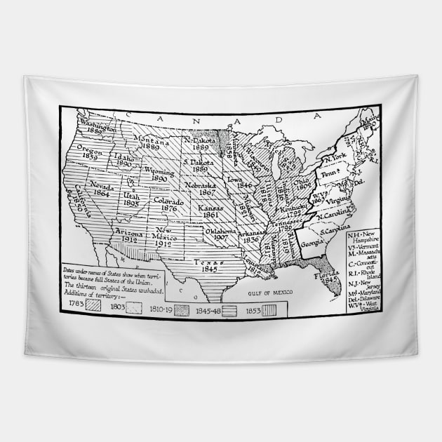 United States Historical Map Tapestry by imlying