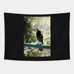 Pete, the Pied Currawong Tapestry