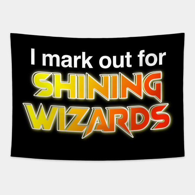 I mark out for shining wizards Tapestry by C E Richards