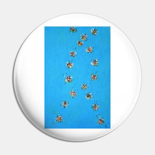 SEVENTEEN FLYING FLIES Pin