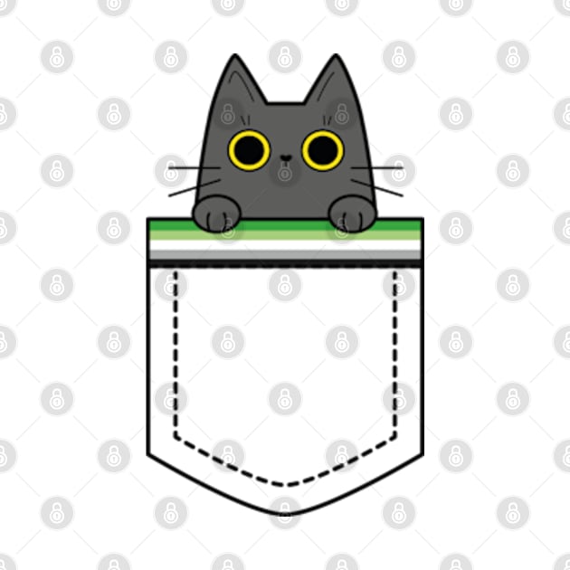 Aromantic cat in a pocket by Kaktus Tees