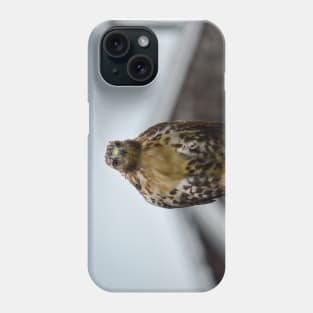 RedTail Hawk Phone Case