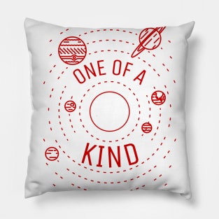 One of a kind Pillow