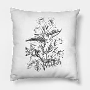 Flower Bouquet Black and White Vintage Botanical Illustration Pillow