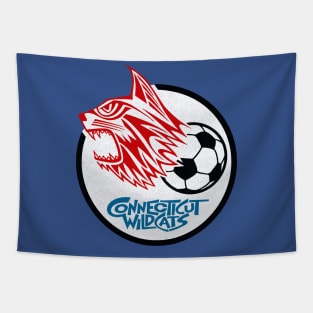 Defunct Connecticut Wildcats Soccer 1974 Tapestry