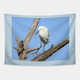 Snowy egret, wild birds, wildlife gifts Tapestry