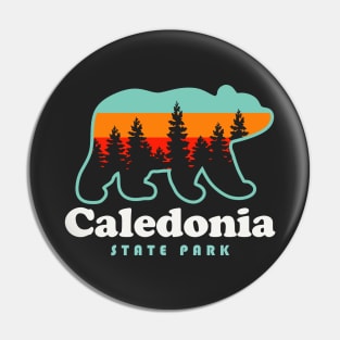 Caledonia State Park Pennsylvania Bear Retro Vintage Sunset Pin