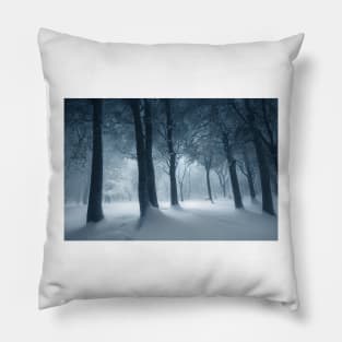 Winter Wonderland Pillow