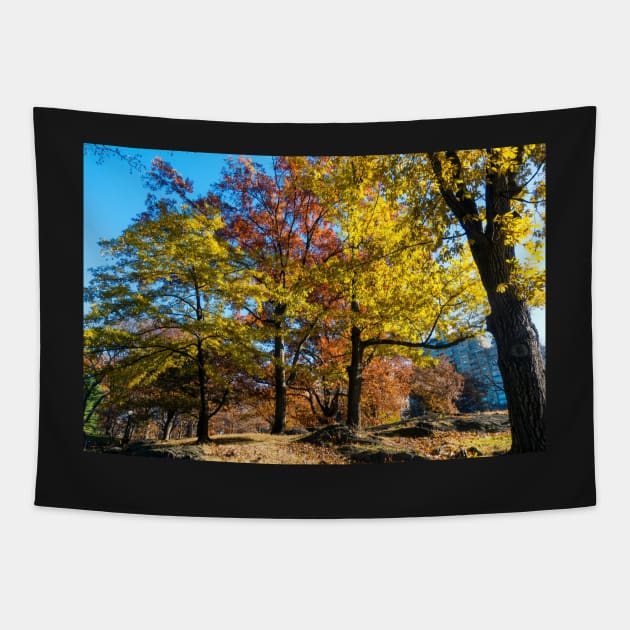 Central park in the fall Tapestry by Itsgrimupnorth