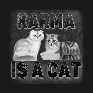 Karma Is A Cat - Beautiful Olivia Benson And Meredith Grey T-Shirt