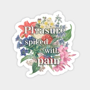 Pleasure spiked with pain Magnet