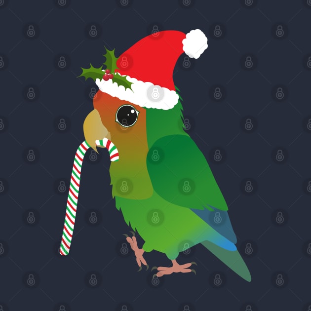 A cute Christmas peach faced lovebird by Bwiselizzy