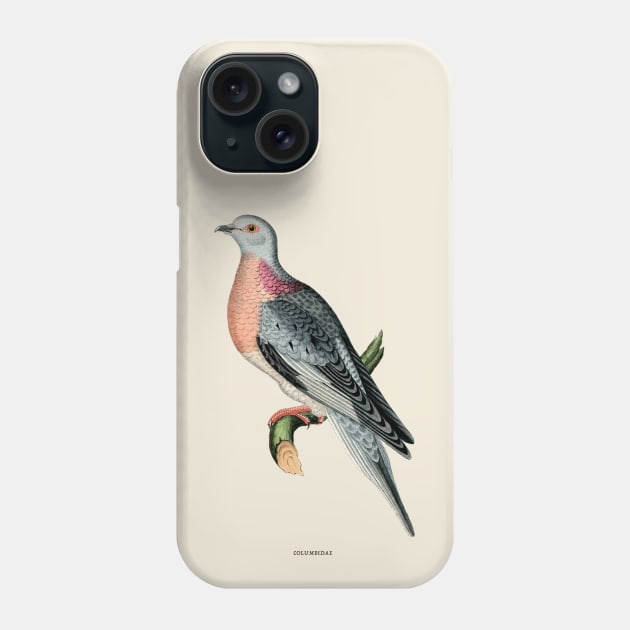 Pigeon Antique Naturalist Illustration Phone Case by Antiquated Art