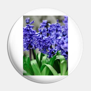 Blue Hyacinth Pin