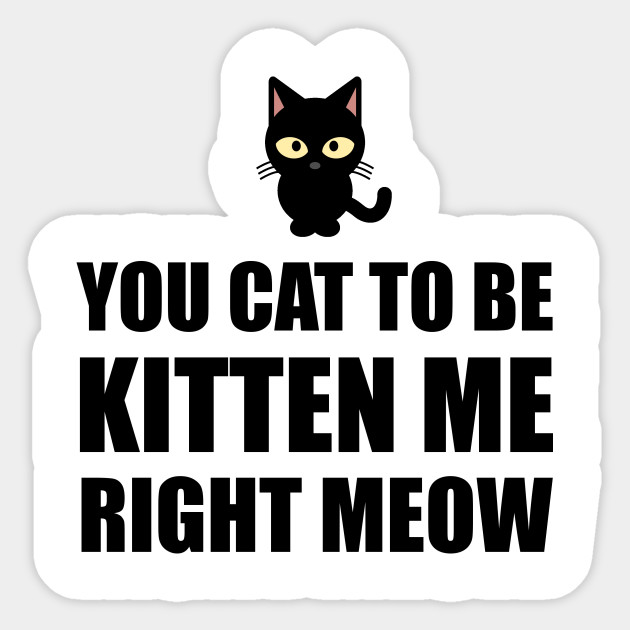 Cat To Be Kitten Me Right Meow Kitten Sticker Teepublic