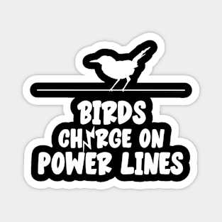 Birds Charge On Power Lines Magnet