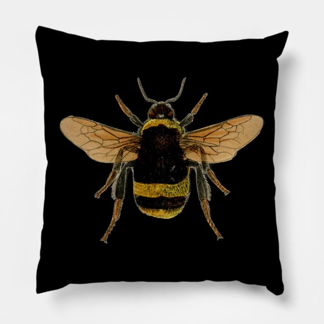 Bumble bee Pillow by MichaelaGrove