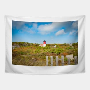 Nauset Beach,  Seashore and lighthouse. Cape Cod, USA.  imagine this on a  card or gracing your room as wall art fine art canvas or framed print on your wall Tapestry