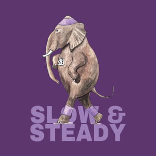 Slow & Steady T-Shirt