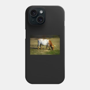 Longhorn Cow Grazing Phone Case