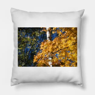 Autumn Forest Pillow