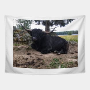 Scottish Highland Cattle Calf 2084 Tapestry