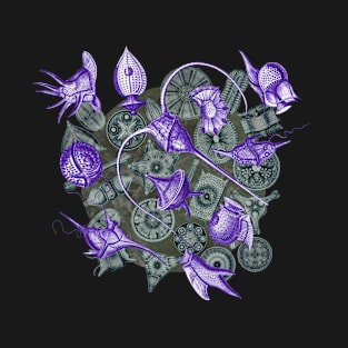 Ernst Haeckel Purple Peridinea on Cerulean  Diatoms T-Shirt